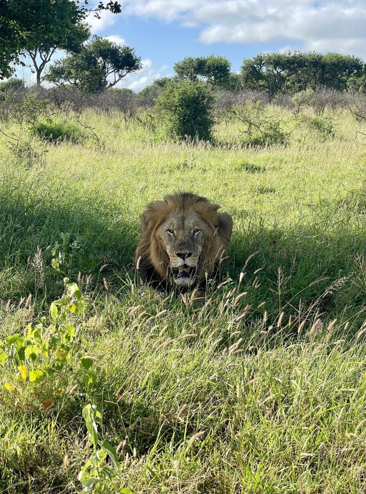 Rhino River Lodge Manyoni Private Game Reserve Екстер'єр фото